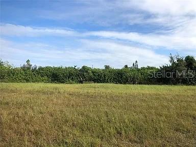 Details for 339 19th Terrace, CAPE CORAL, FL 33909