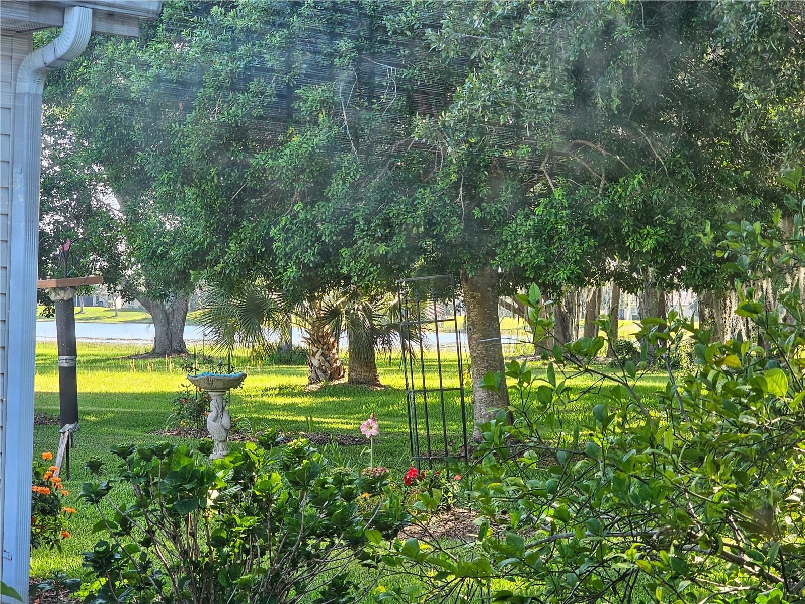 Image 7 of 40 For 3700 Plantation Boulevard