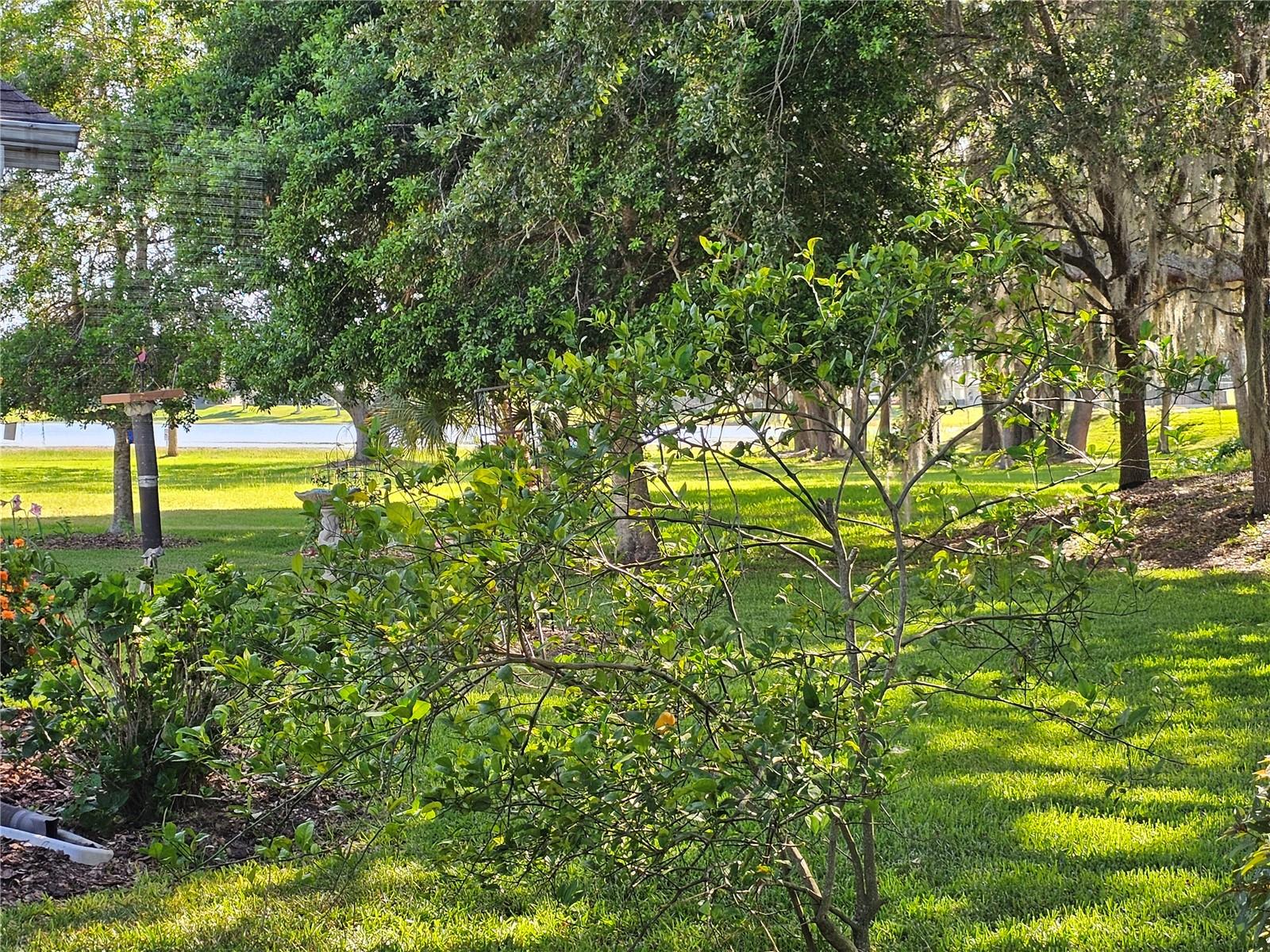 Image 8 of 40 For 3700 Plantation Boulevard