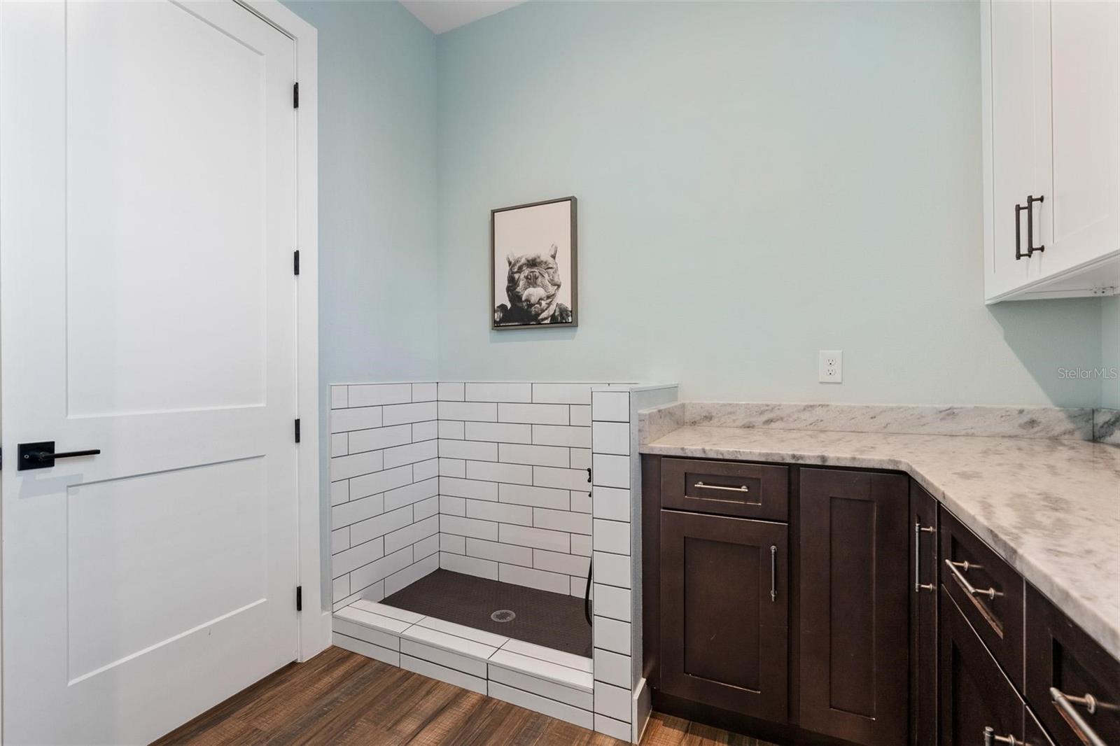 Image 32 of 72 For 907 Celadon Street