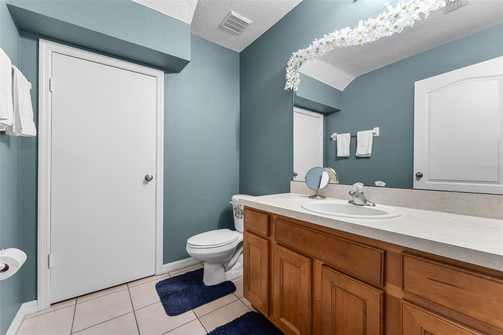 Image 16 of 19 For 3917 Pemberly Pines Circle