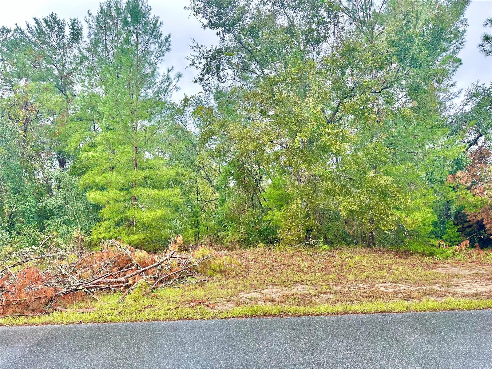 Listing Details for Tbd 46th Terrace, OCALA, FL 34473