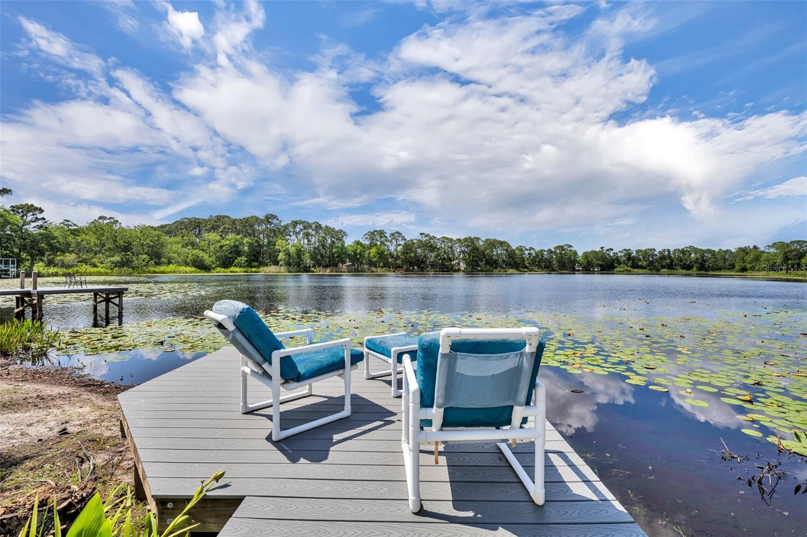 Image 51 of 62 For 3960 Lake Mira Dr Drive