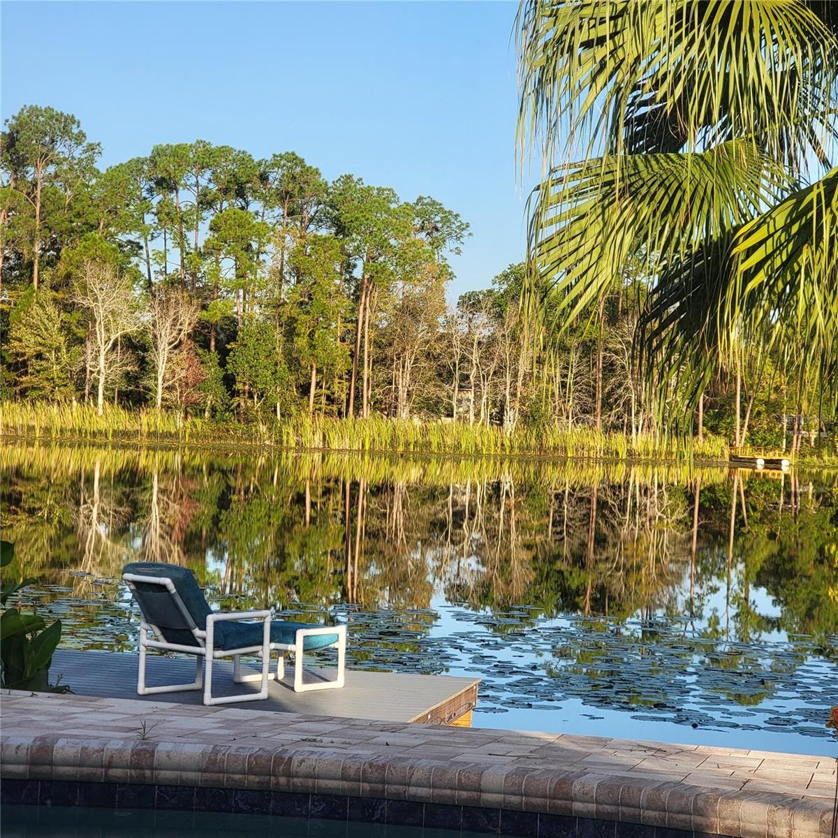 Image 55 of 62 For 3960 Lake Mira Dr Drive