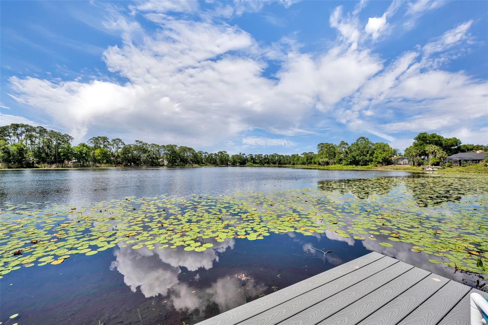 Image 6 of 62 For 3960 Lake Mira Dr Drive