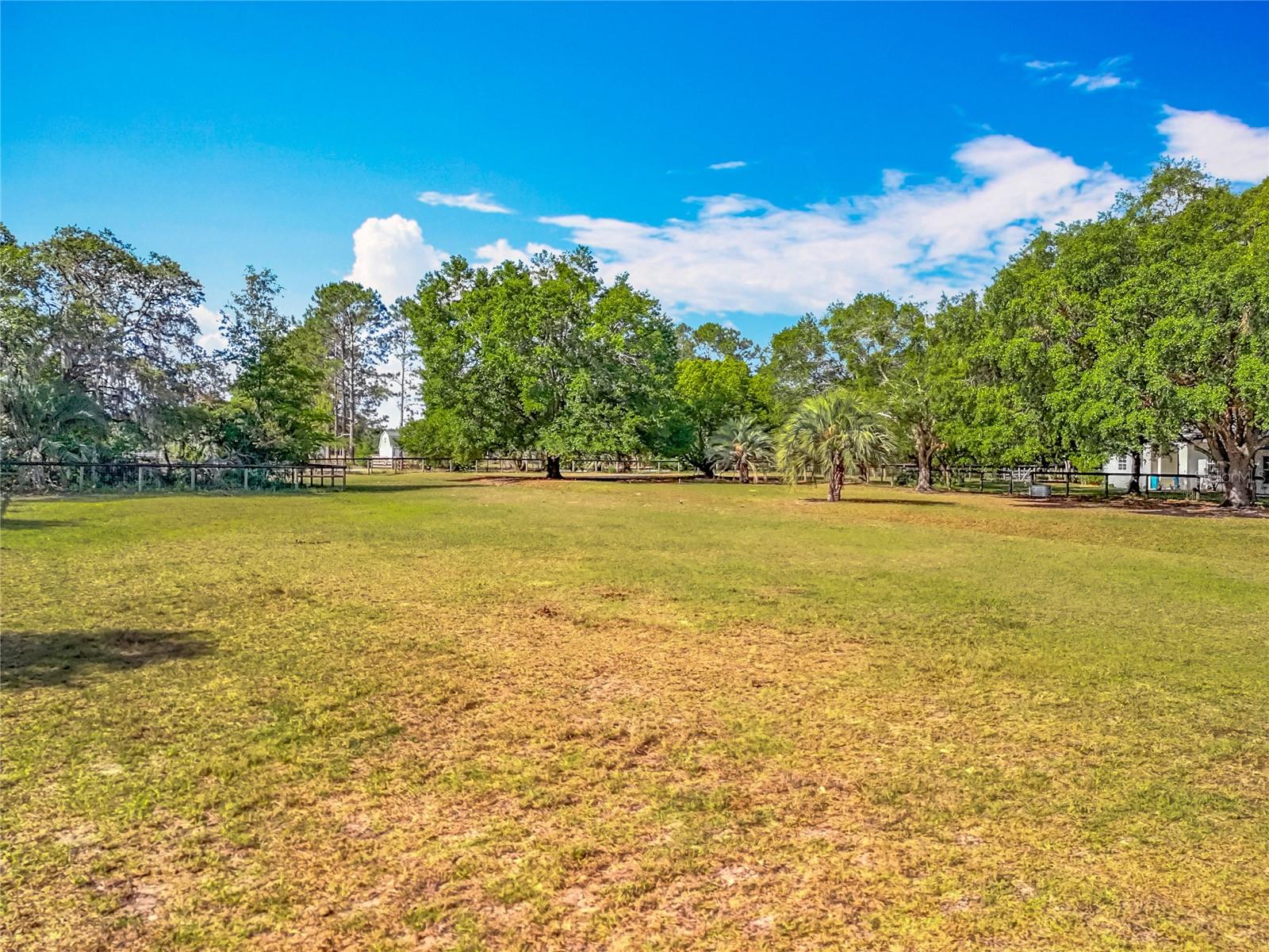 Image 2 of 31 For 38241 County Road 439