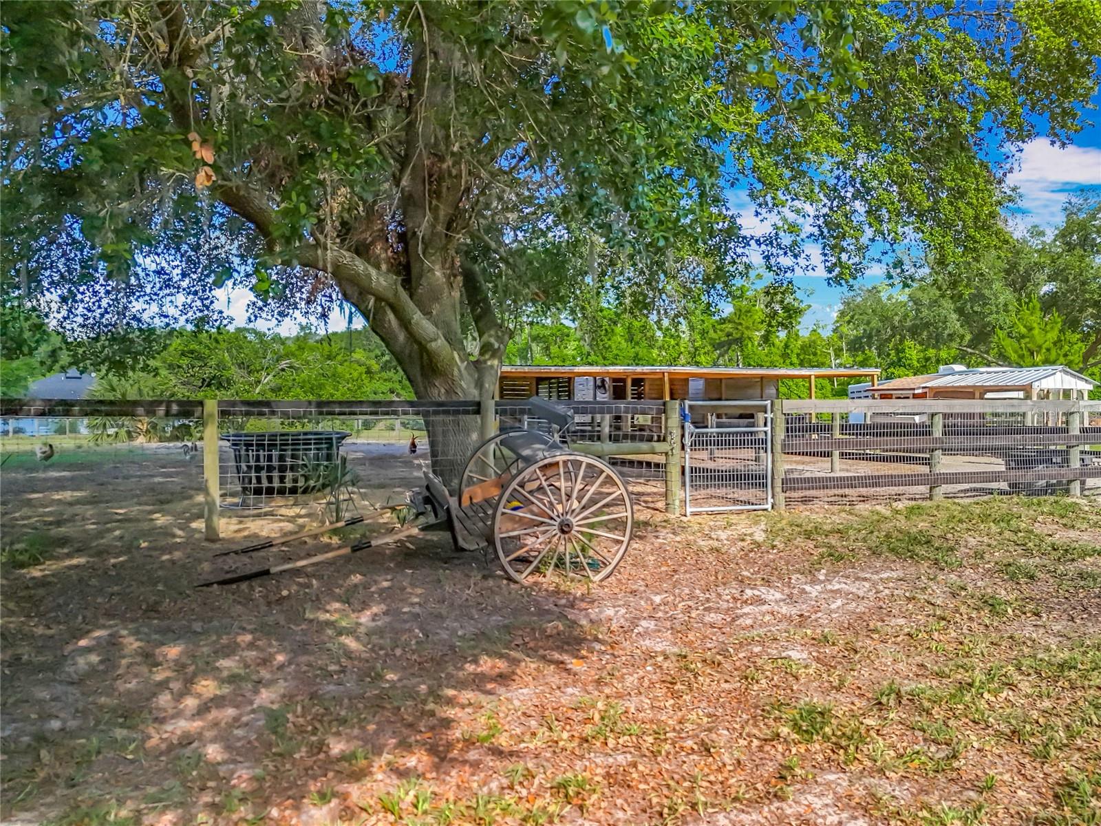 Image 3 of 31 For 38241 County Road 439