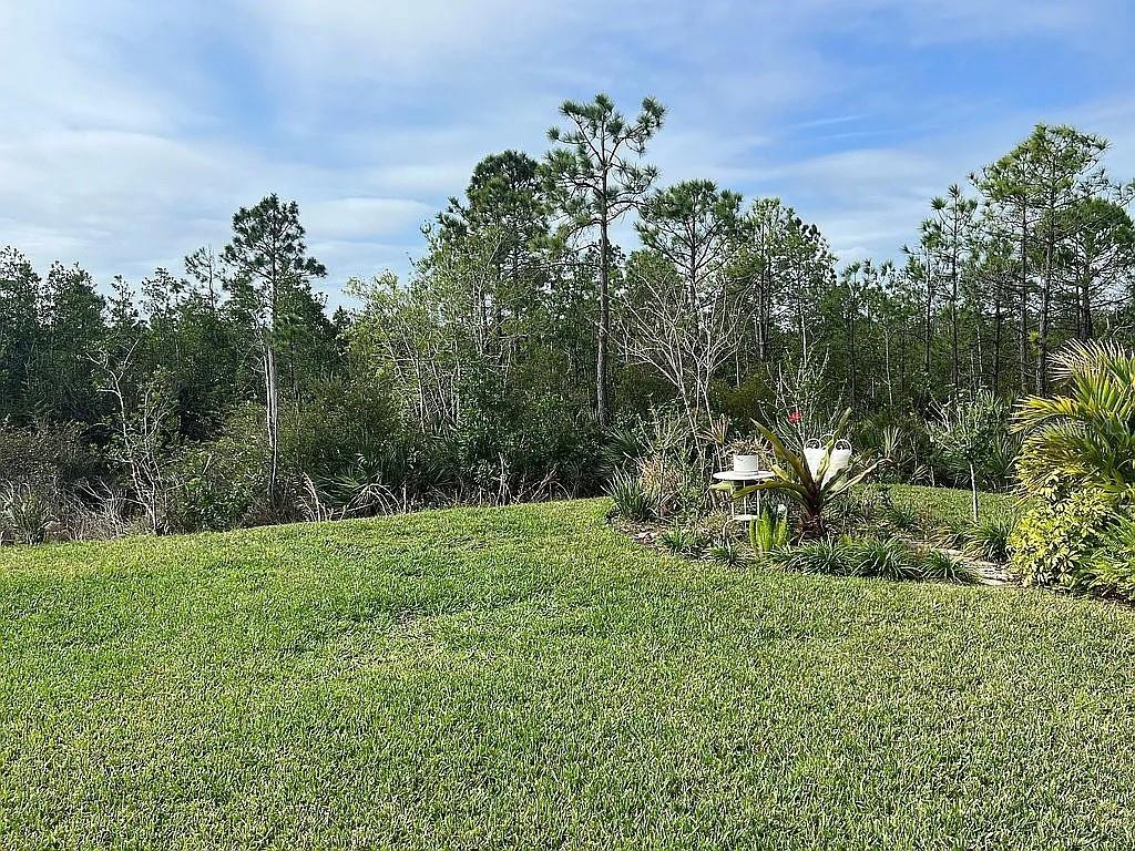 Image 33 of 38 For 2711 Neverland Drive