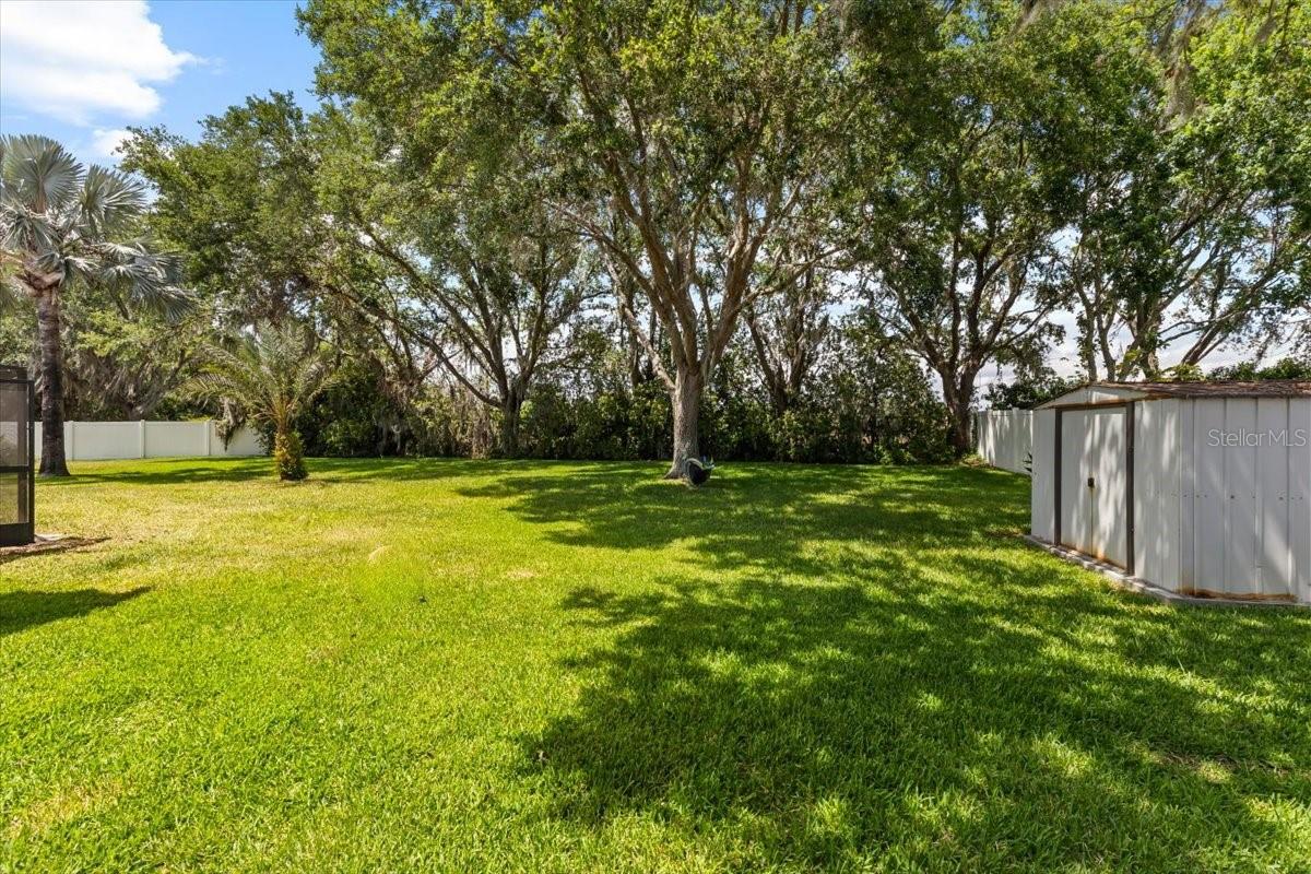 Listing photo id 39 for 2818 Mossy Timber Trail