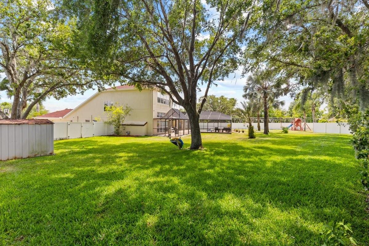 Listing photo id 41 for 2818 Mossy Timber Trail