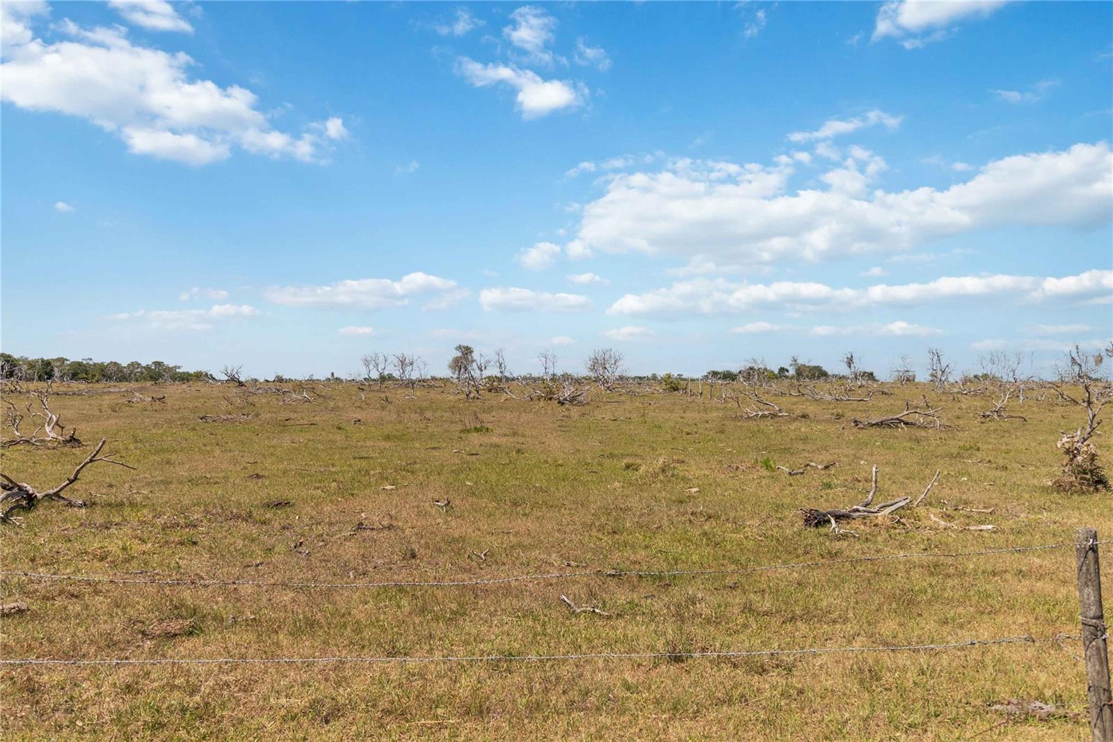 Image 14 of 32 For 0 Lake Tohopekaliga Road