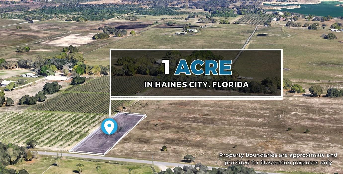 Details for White Clay Pit Road, HAINES CITY, FL 33844
