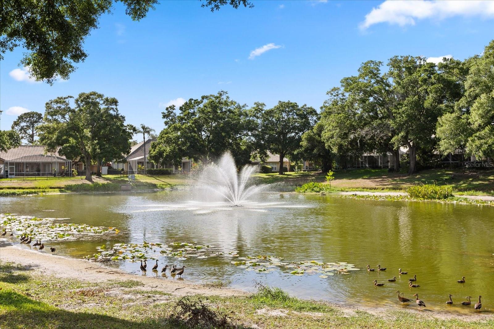 Image 50 of 54 For 240 Promenade Circle