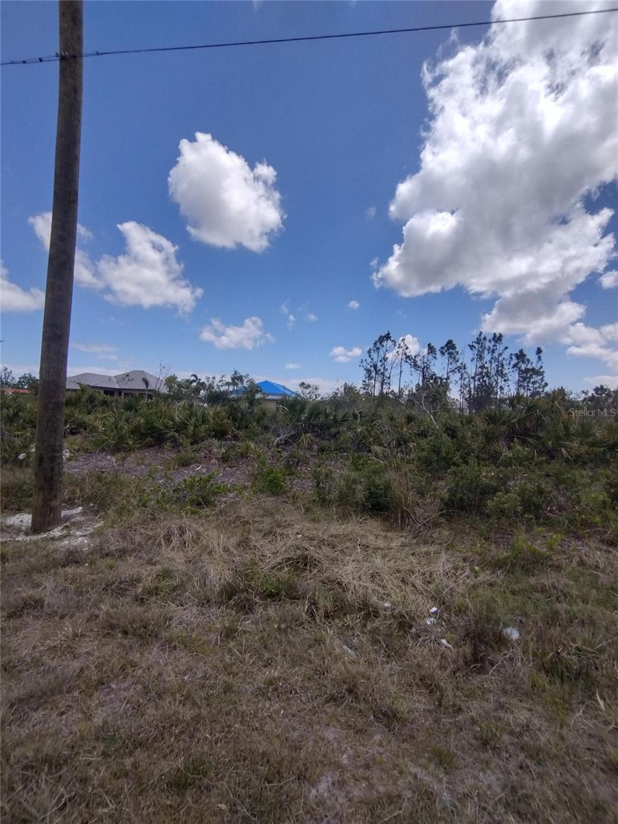 Image 3 of 6 For 9176 Casey Street