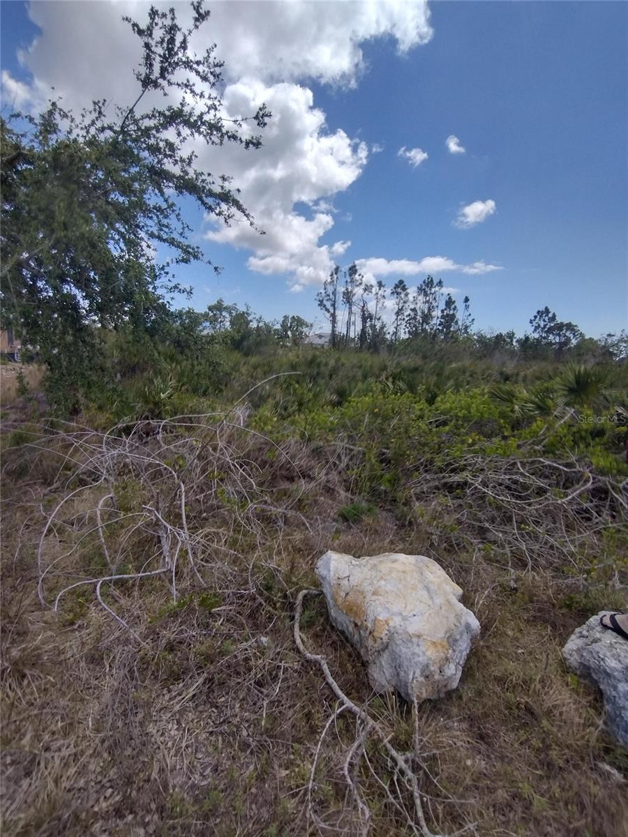 Image 4 of 6 For 9176 Casey Street