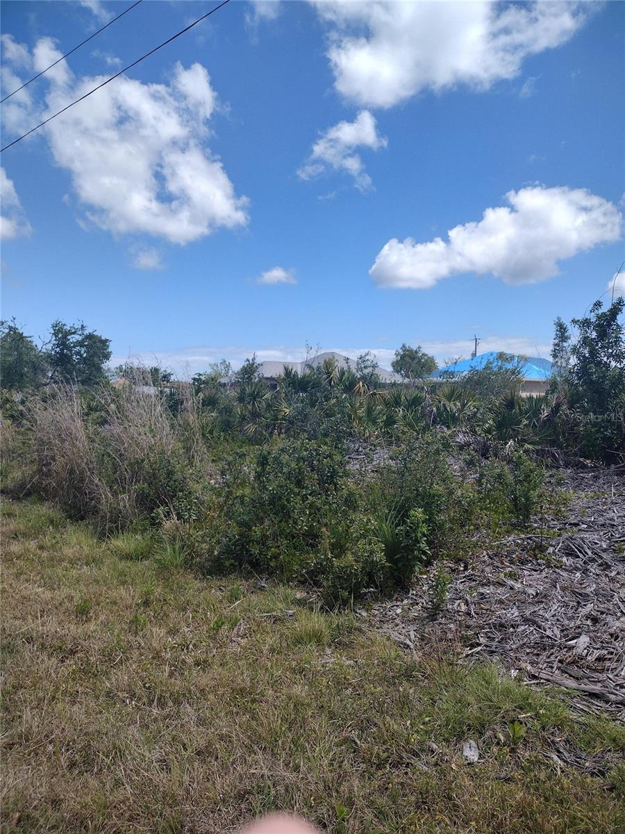 Image 6 of 6 For 9176 Casey Street