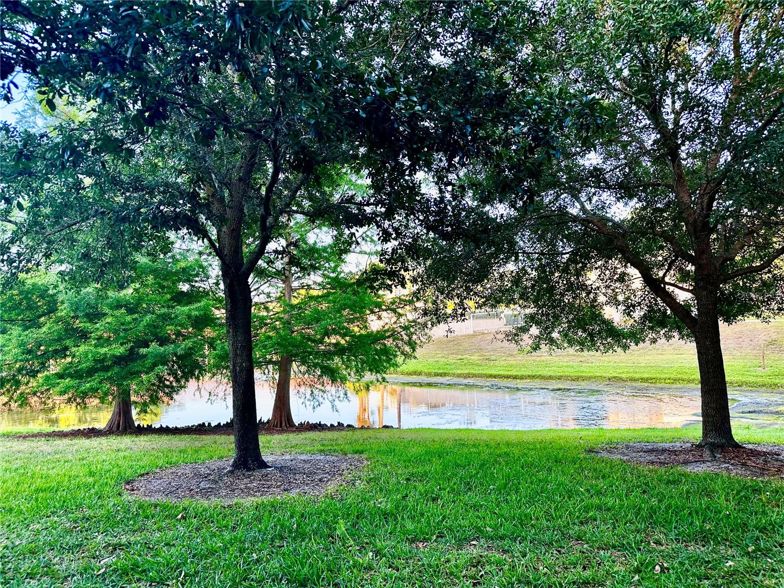 Image 16 of 17 For 144 Reserve Circle 100