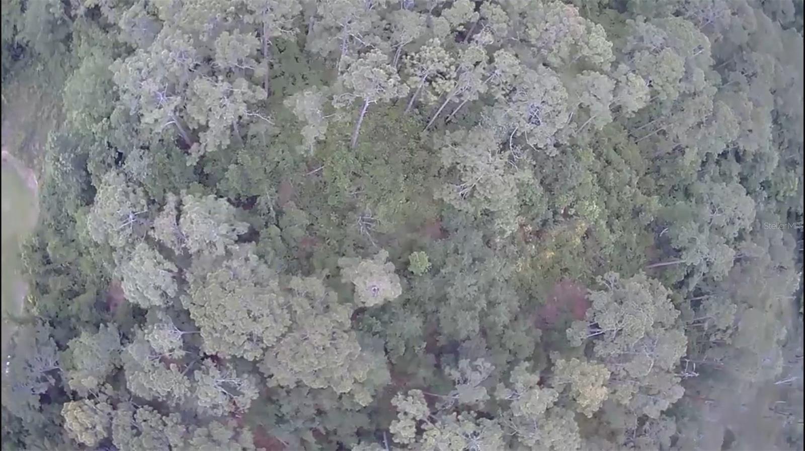 Image 4 of 7 For  Sr-33  