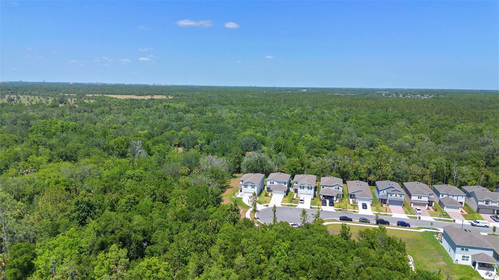 Image 41 of 46 For 1105 Grand Hammock Court