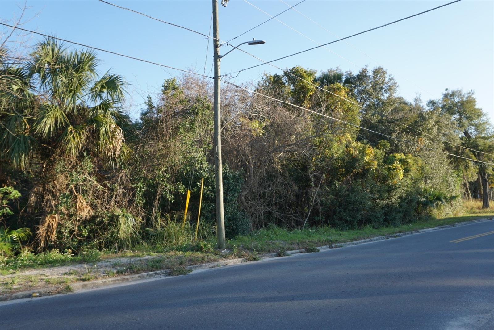 Image 2 of 2 For Palmetto Street