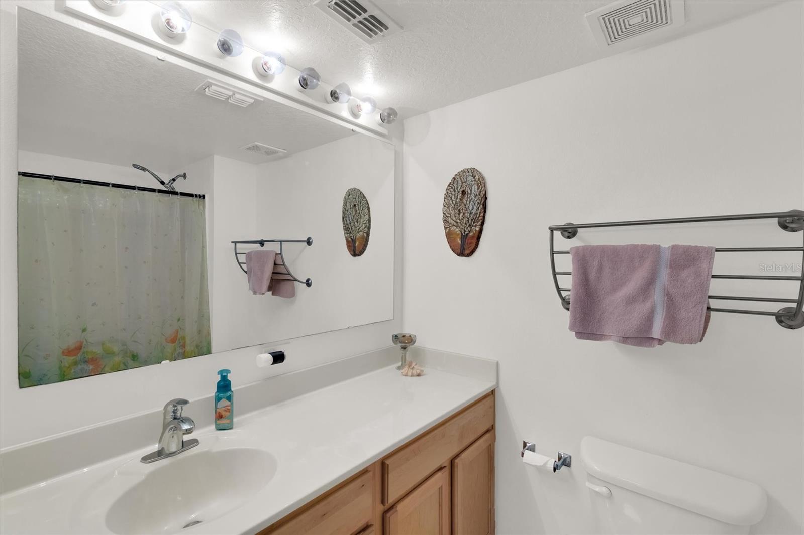 Image 34 of 72 For 2658 Palmetto Ridge Circle