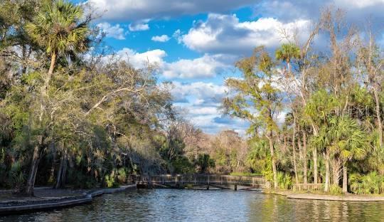 Image 72 of 72 For 2658 Palmetto Ridge Circle