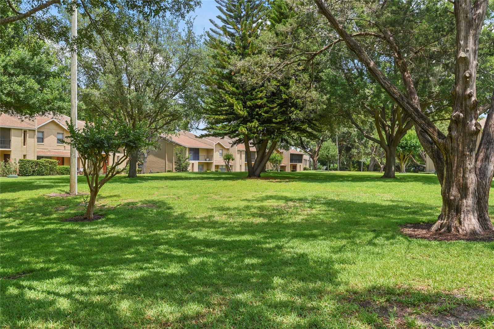 Image 2 of 16 For 1020 Grove Street 29