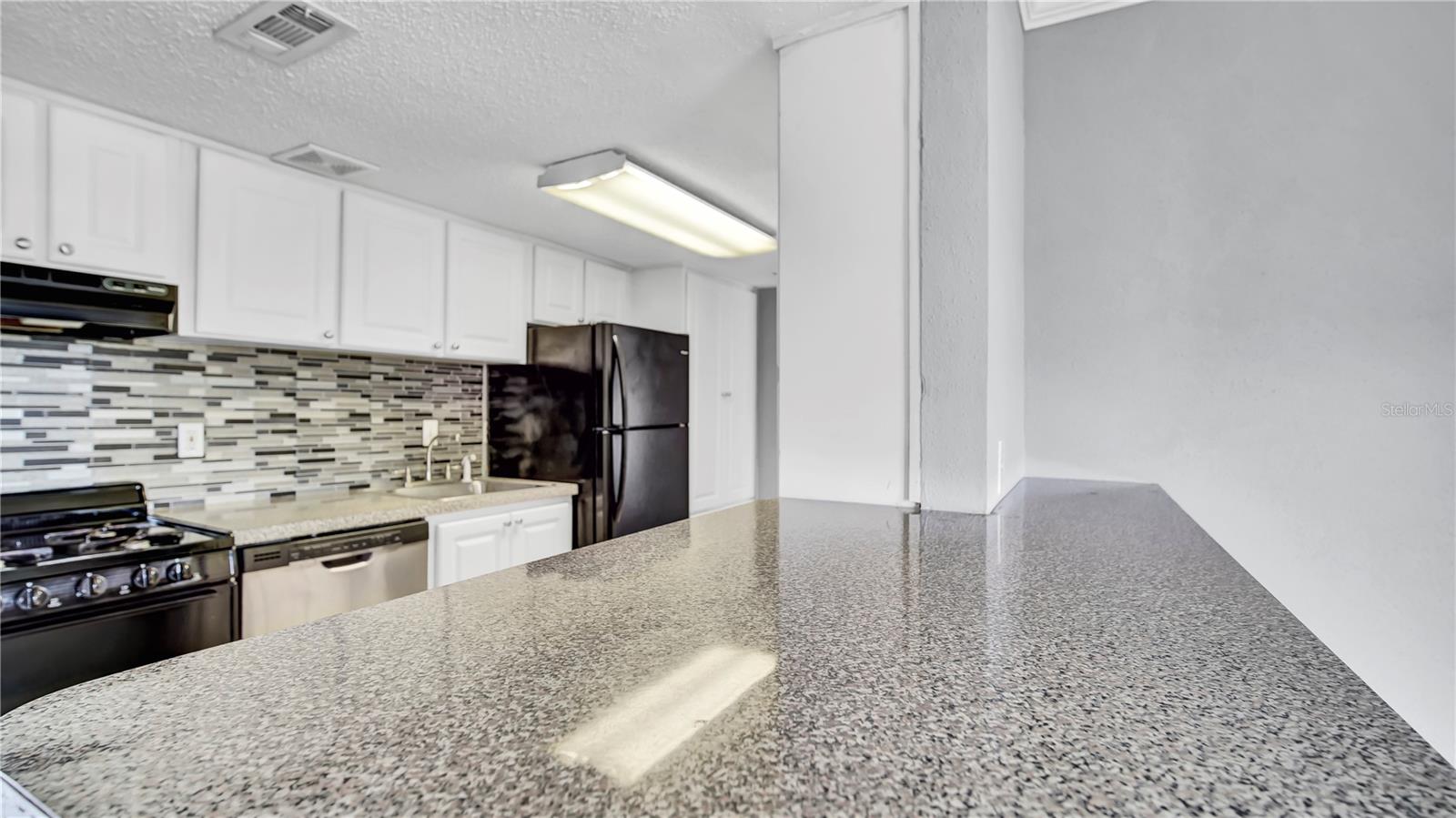 Image 13 of 25 For 115 Oyster Bay Circle 260