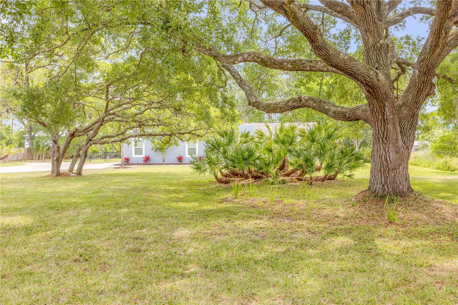 Image 10 of 85 For 106 Pine Tree Drive
