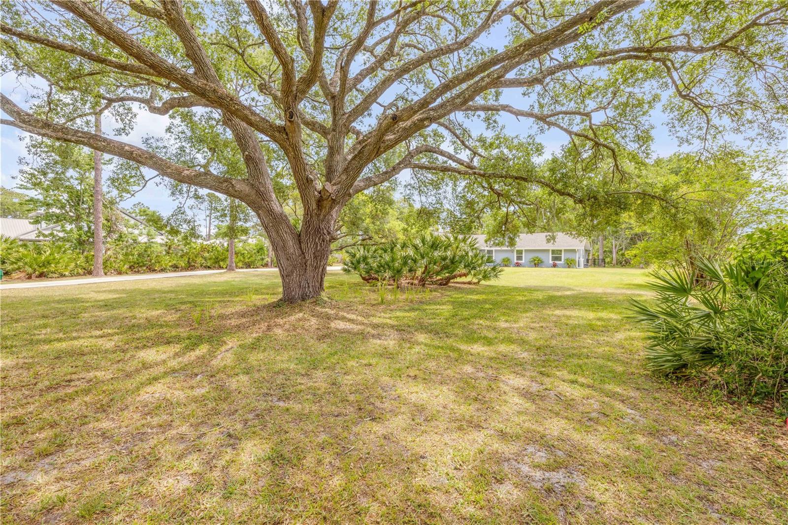 Image 11 of 85 For 106 Pine Tree Drive