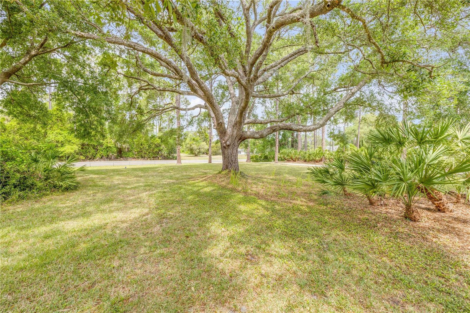 Image 12 of 85 For 106 Pine Tree Drive