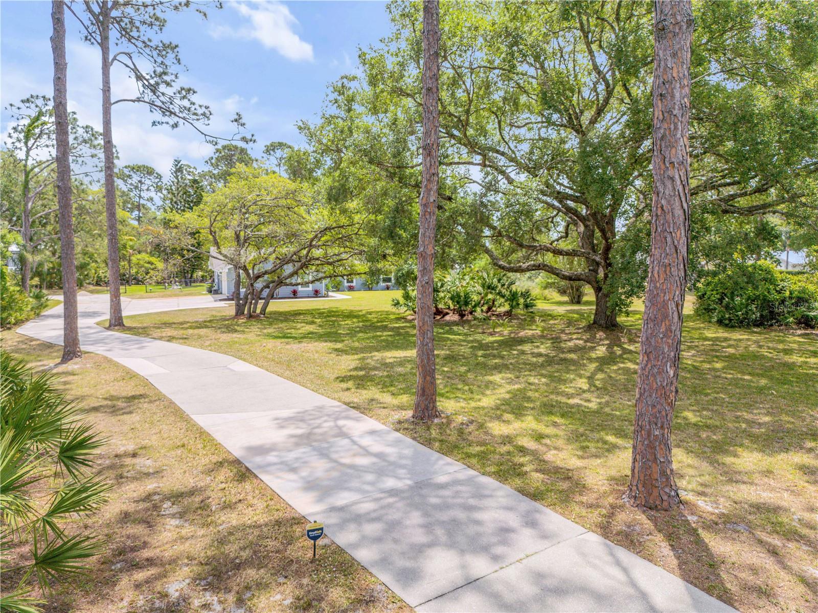 Image 13 of 85 For 106 Pine Tree Drive