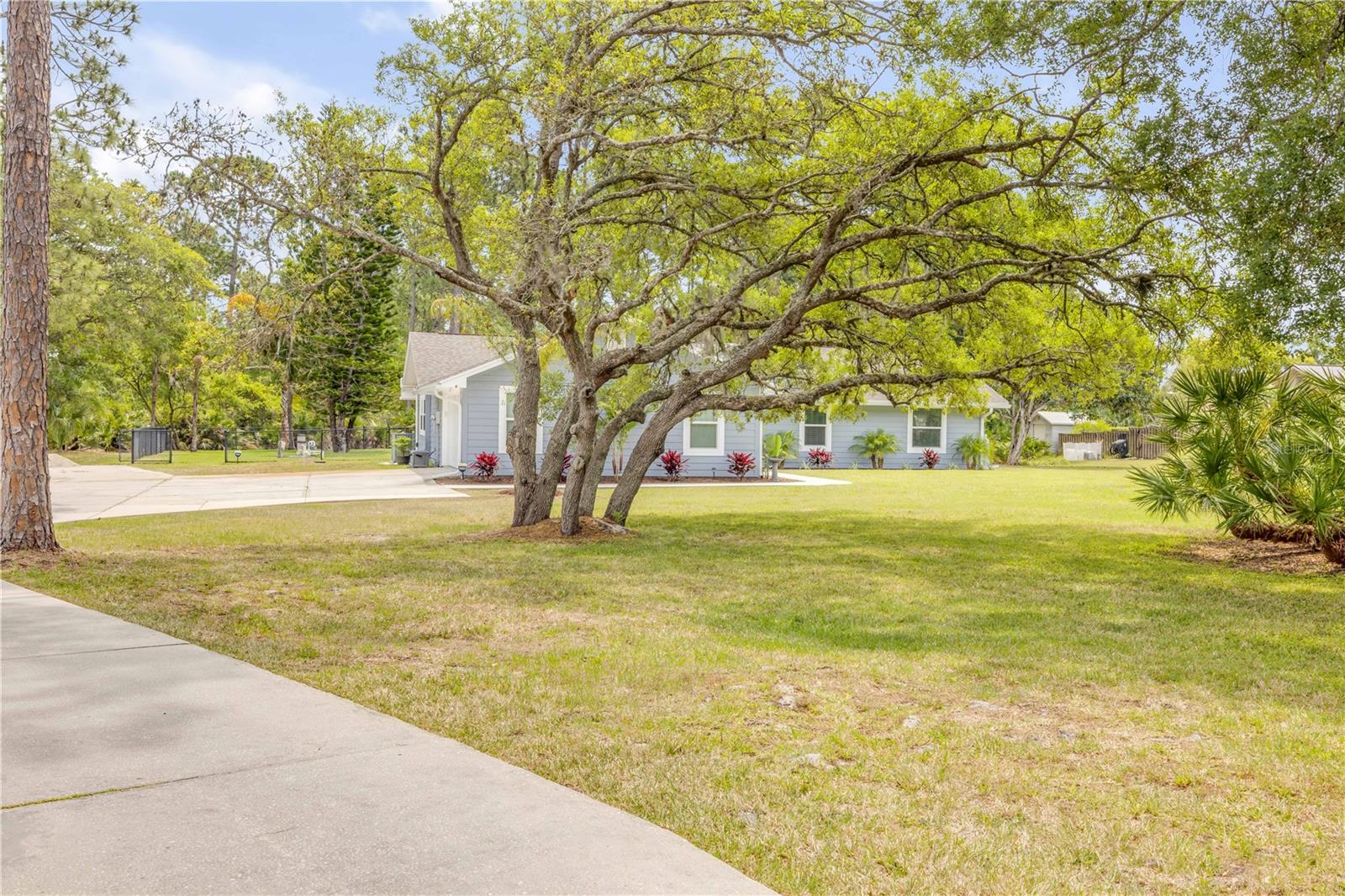 Image 14 of 85 For 106 Pine Tree Drive