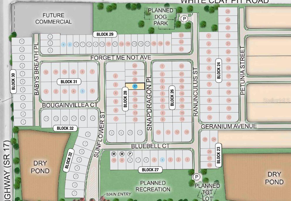 Image 20 of 20 For 4622 Snapdragon Place