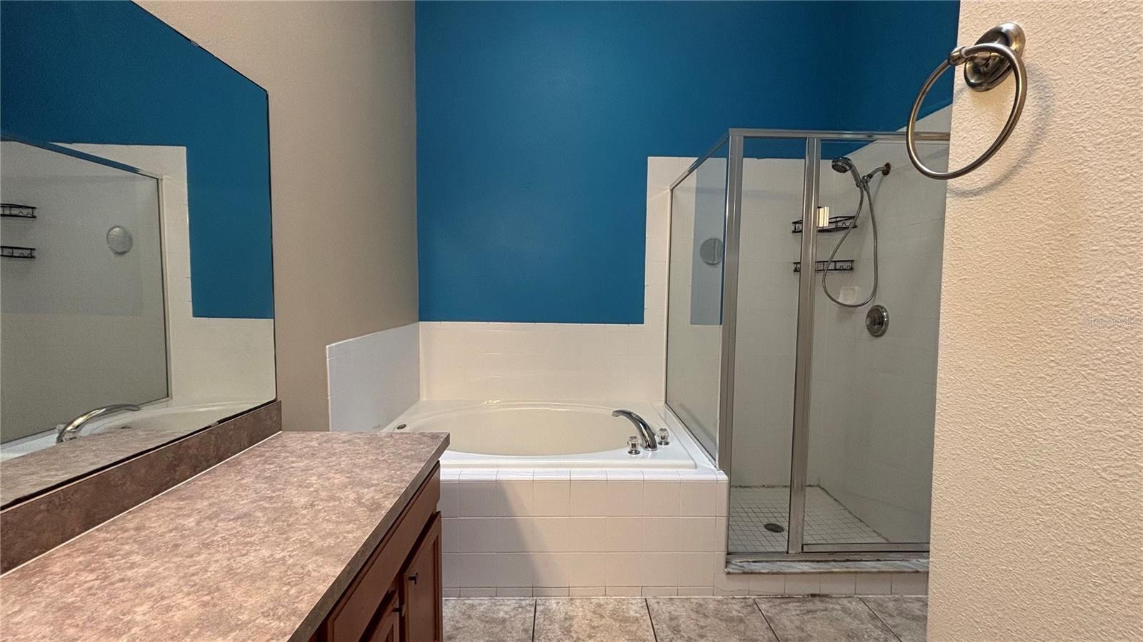 Image 21 of 25 For 252 Bramley Court