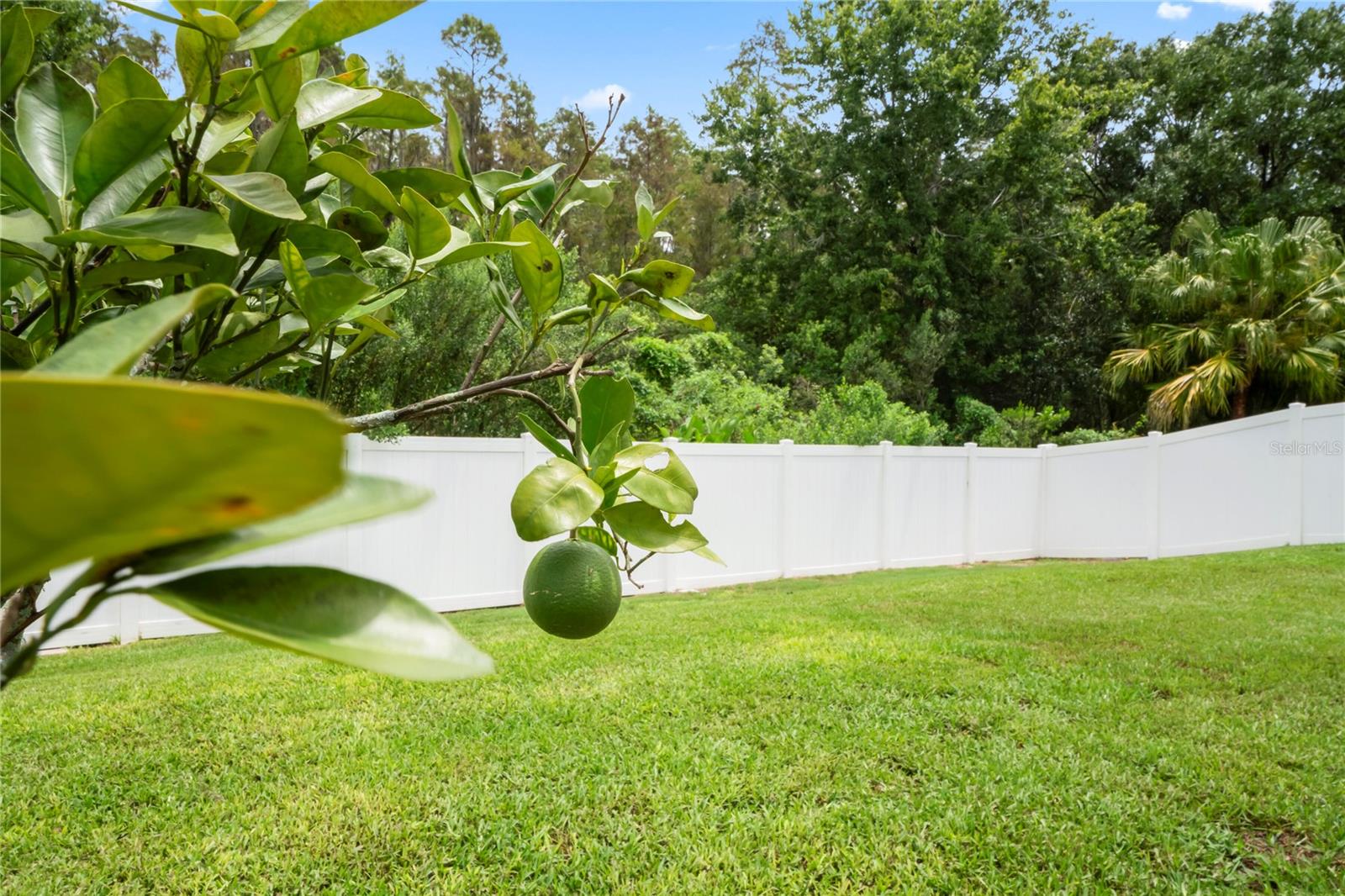 Image 49 of 71 For 30643 Tremont Drive