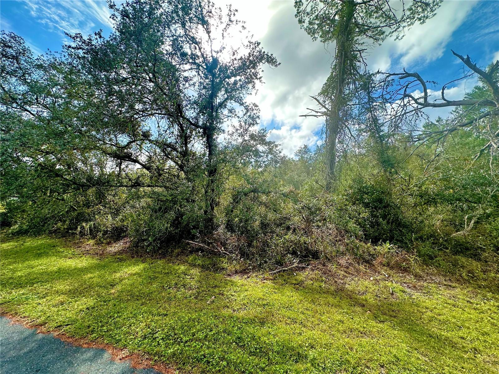 Listing Details for Tbd 35th Court Road Lot 27, OCALA, FL 34473