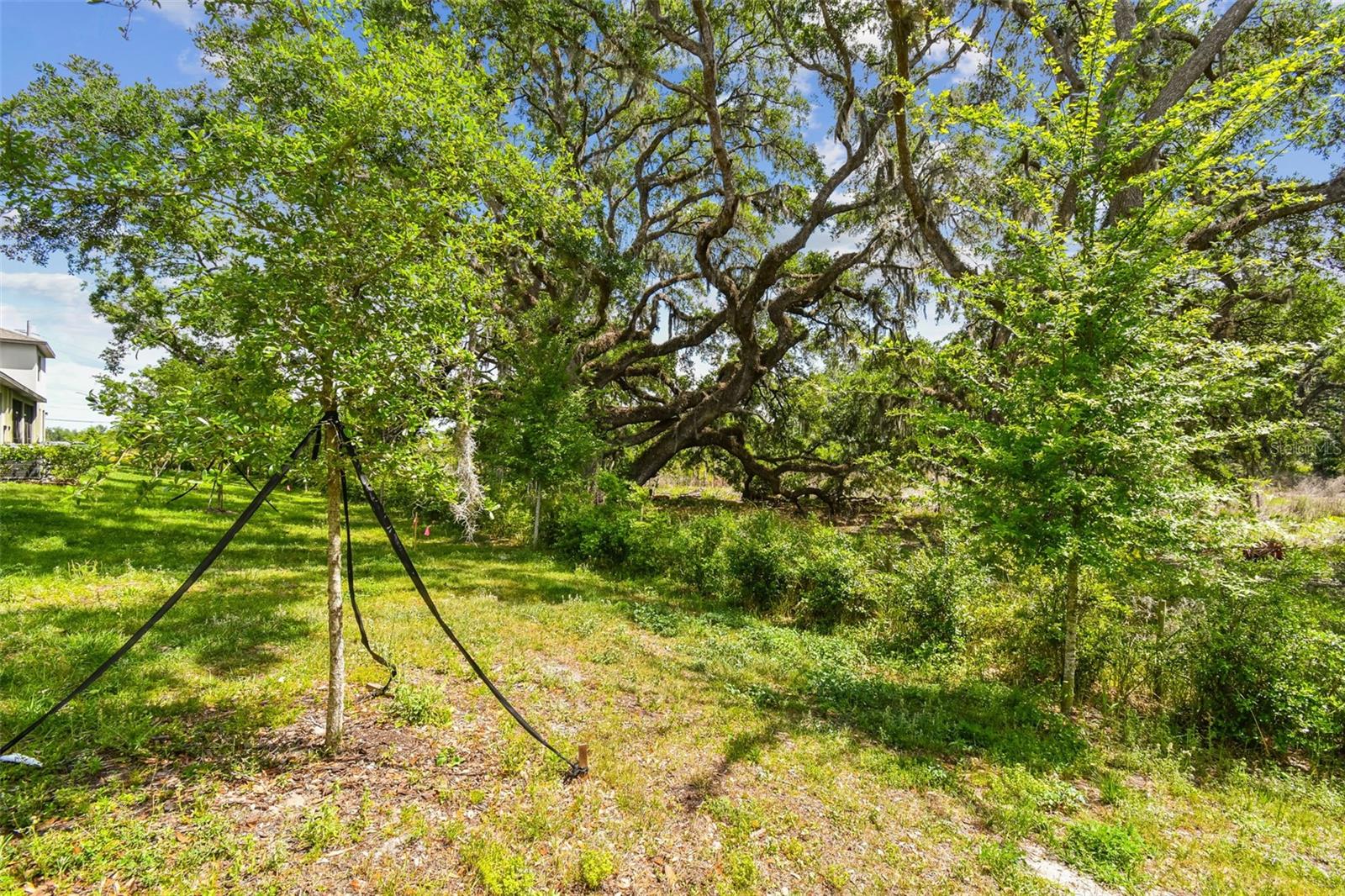 Image 78 of 98 For 30814 Veridian Way