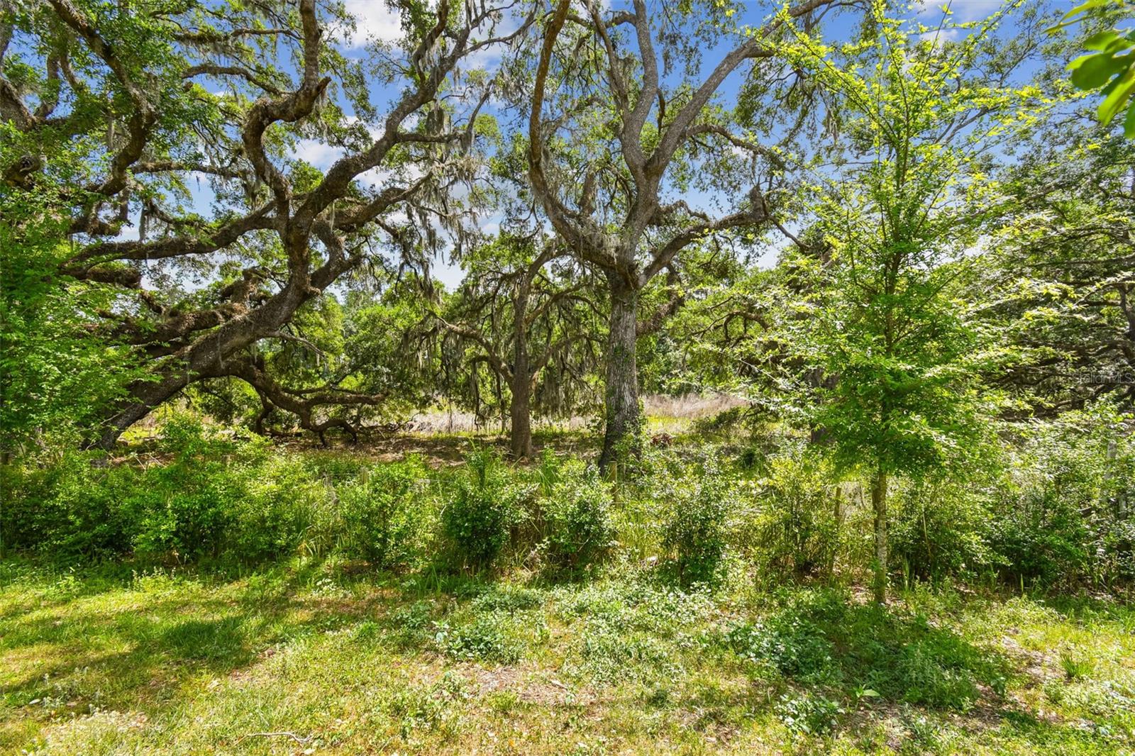 Image 79 of 98 For 30814 Veridian Way