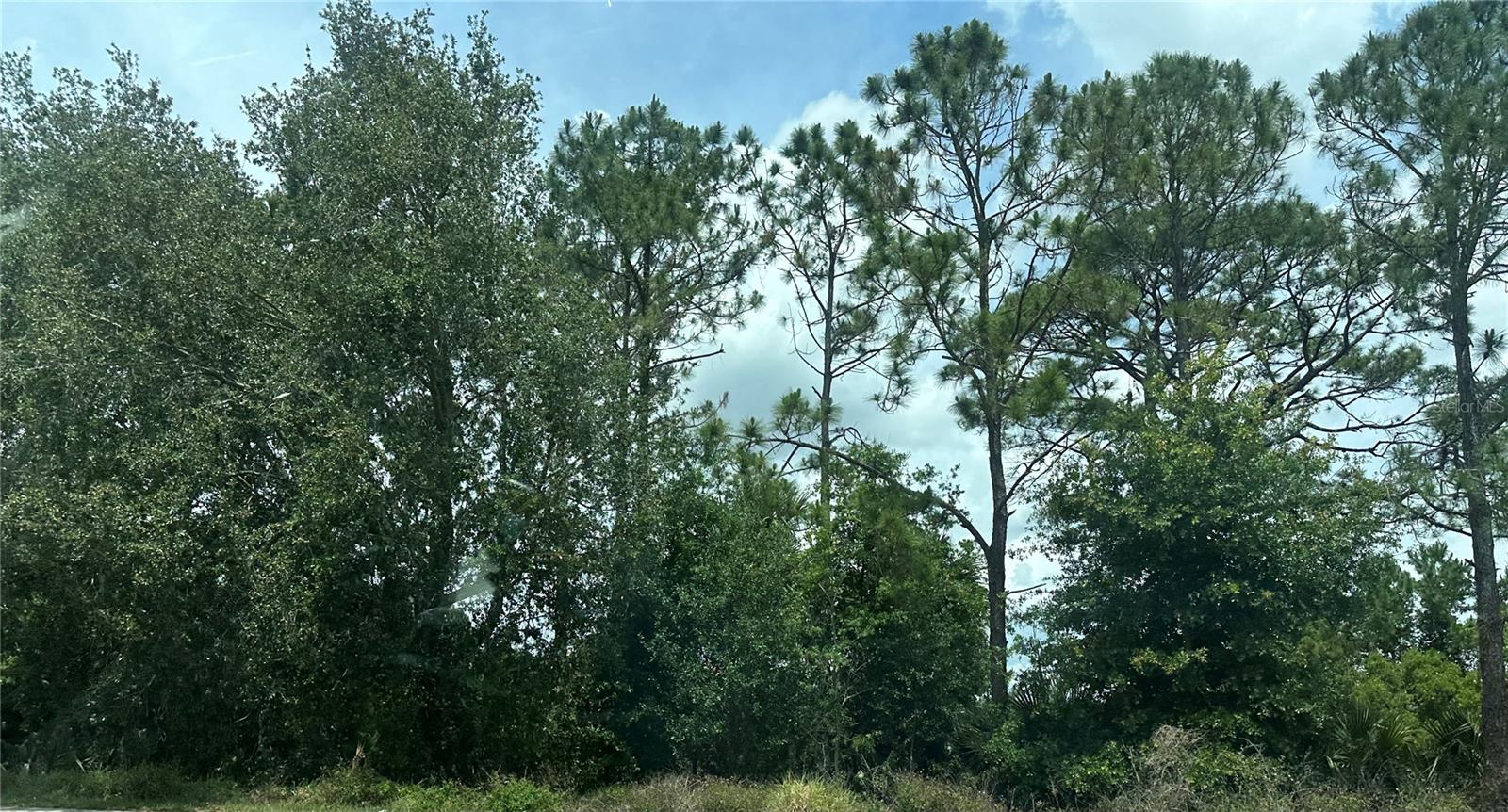Details for  Sr 535  , ORLANDO, FL 32821