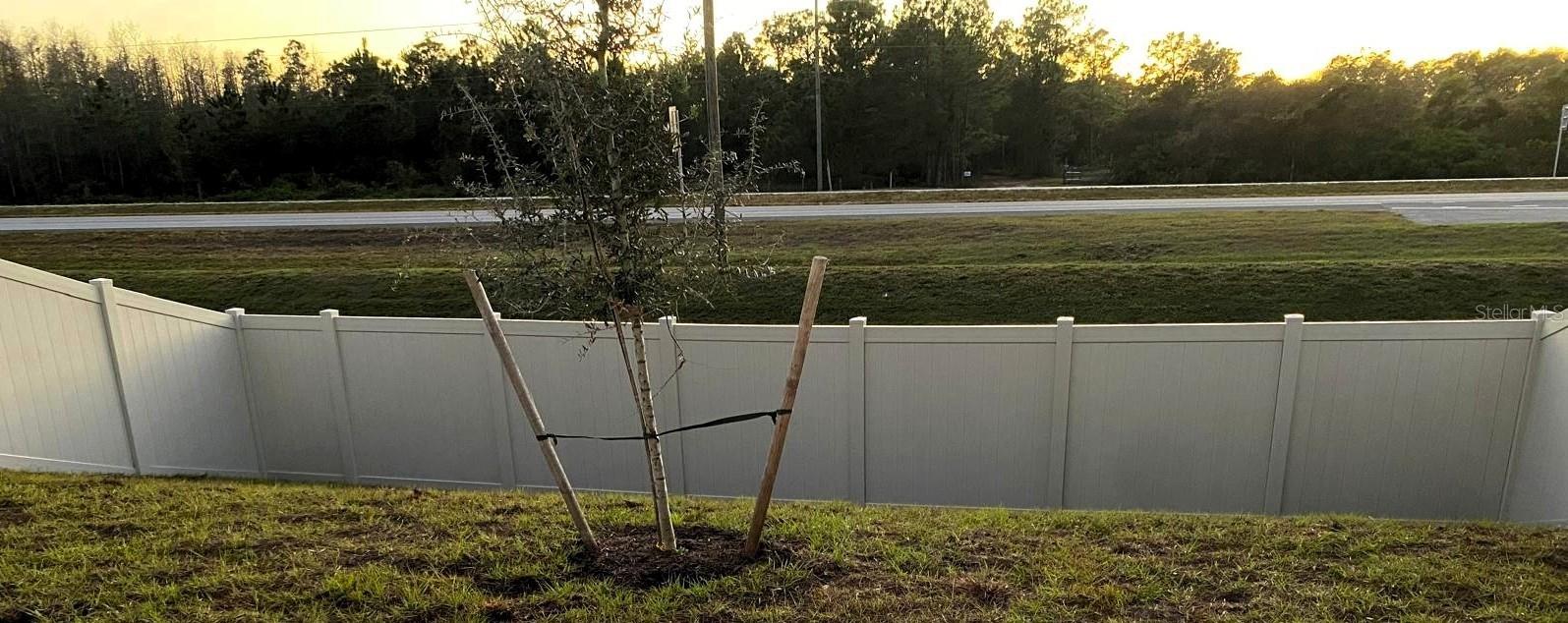 Image 67 of 82 For 3984 Sagefield Drive