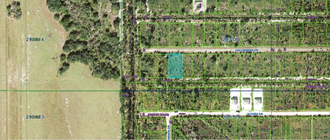 Details for Calliandra Drive, INDIAN LAKE ESTATES, FL 33855