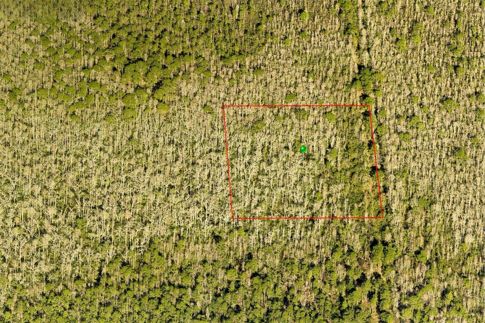 Details for 7108-01-07-0010, DELAND, FL 32724