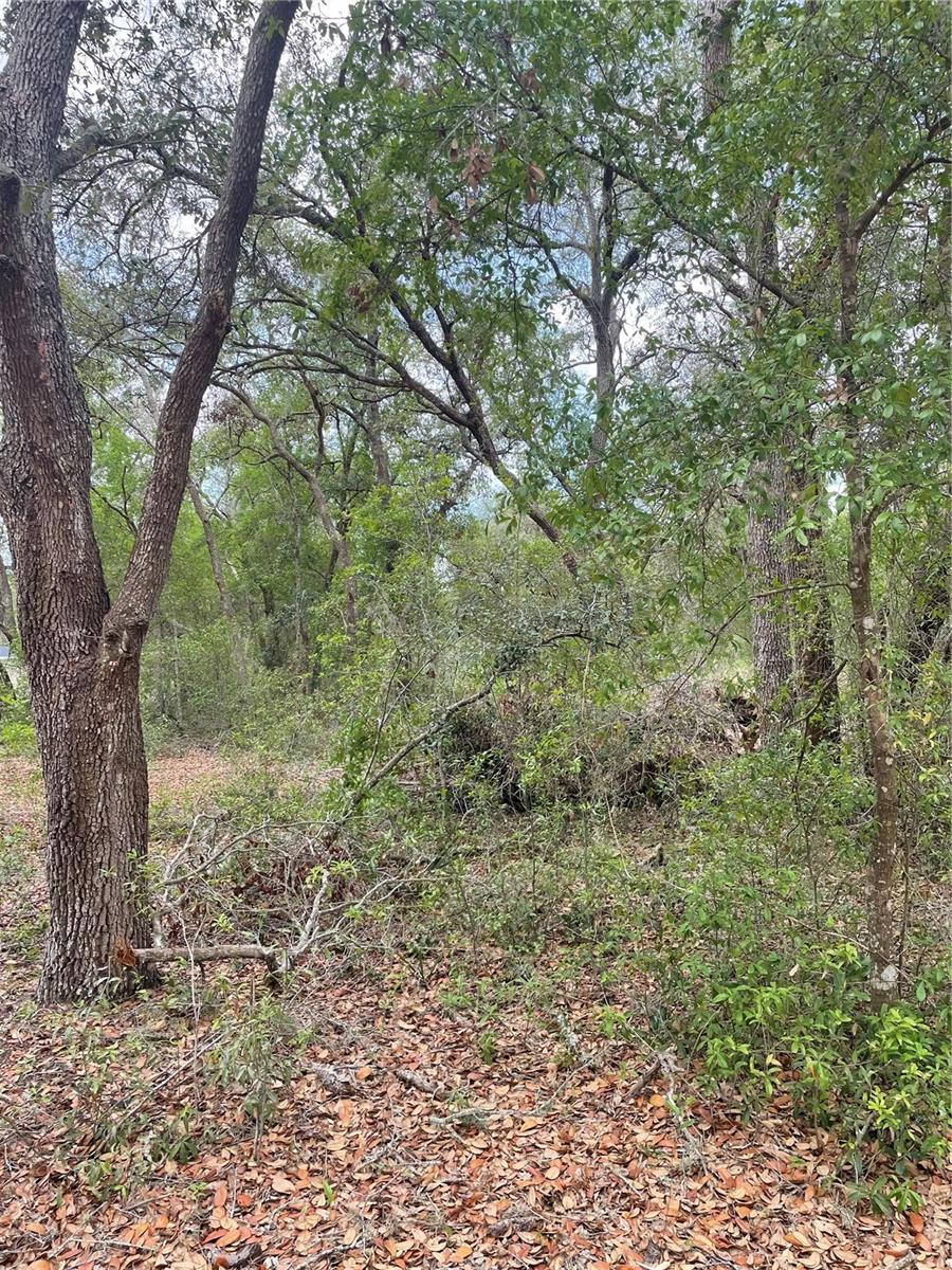 Details for Juniper Street, LADY LAKE, FL 32159