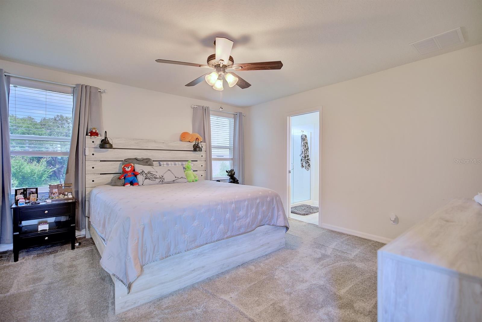 Image 37 of 63 For 5164 Chickadee Street