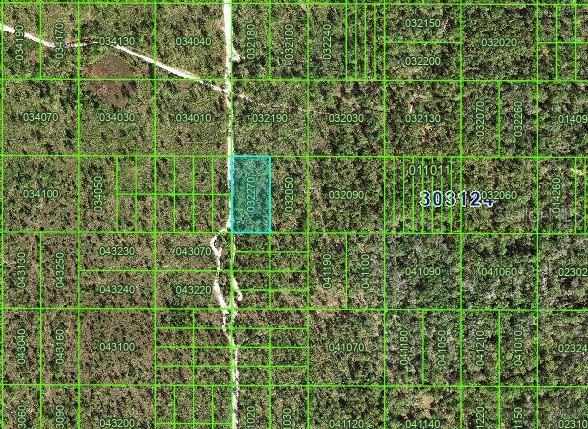 Listing Details for 0 River Ranch Boulevard, LAKE WALES, FL 33898