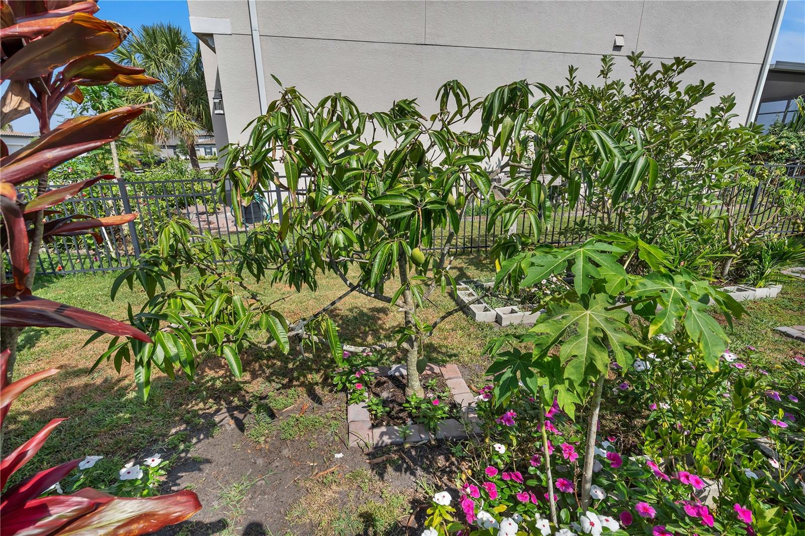 Image 74 of 86 For 3966 Steer Beach Place