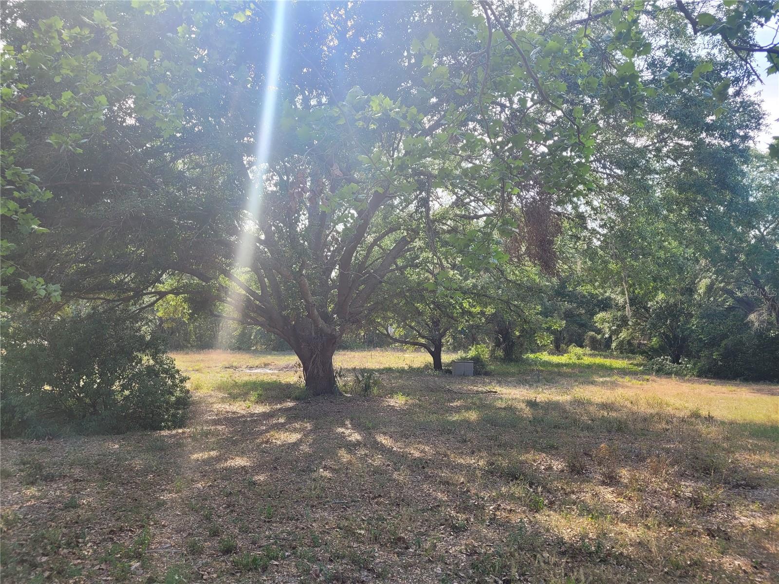 Image 12 of 37 For 7525 Dewey Robbins Road