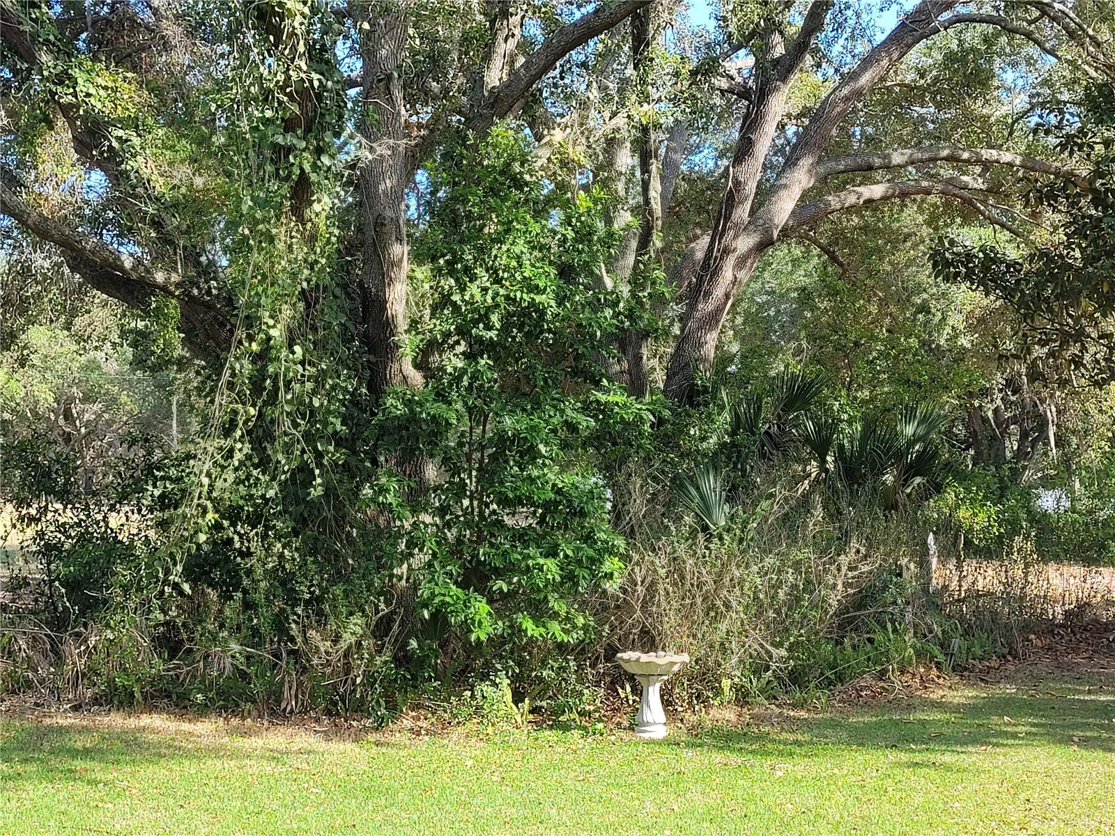 Image 13 of 37 For 7525 Dewey Robbins Road