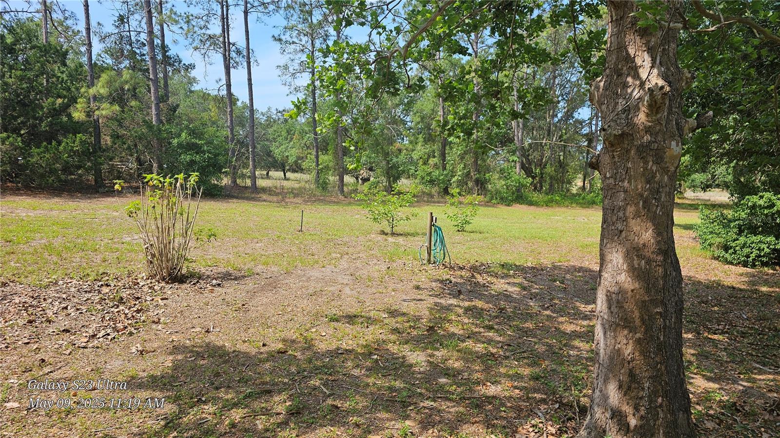 Image 31 of 37 For 7525 Dewey Robbins Road
